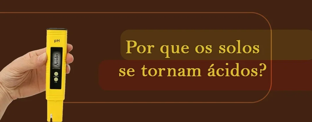 Por-que-os-solos-se-tornam-acidos-Calagem-App-Blog