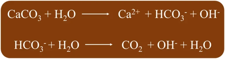 reacao do carbonato de calcio blog calagem app